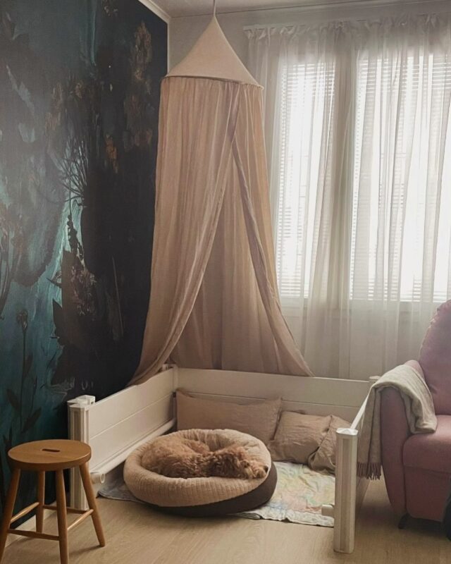 Yksi viikko vielä -one week to go. AustralianlabradoodleMama is relaxing💕
Hope everything goes well🙏🐾🐾🐾
#australianlabradoodlepuppies #australianlabradoodlebreeder #walabreeder #laisla’s ALD