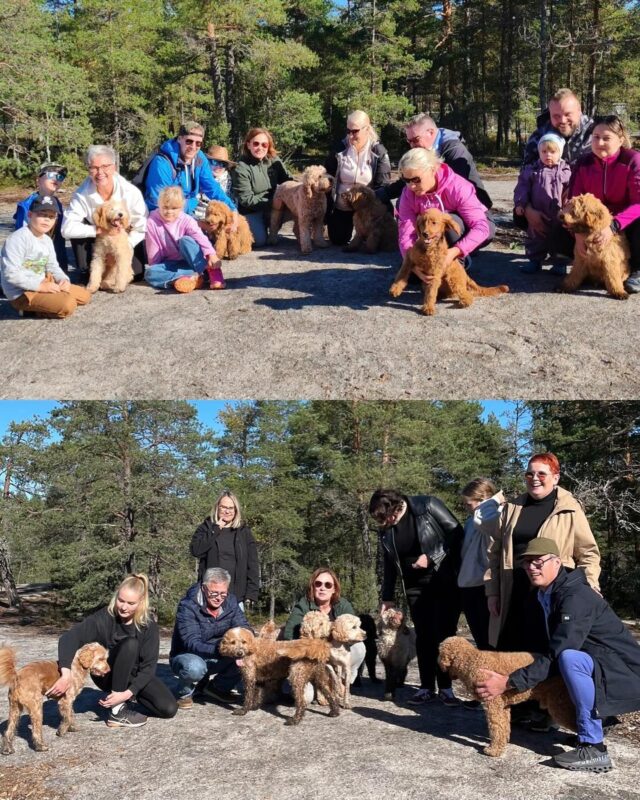 Iloinen jälleen näkeminen💕 Lauantai☀️ oli La Isla’s pentueiden treffipäivä🍁 Ohjelmassa oli kahvia, pullaa ja mutapainia🐶🐾