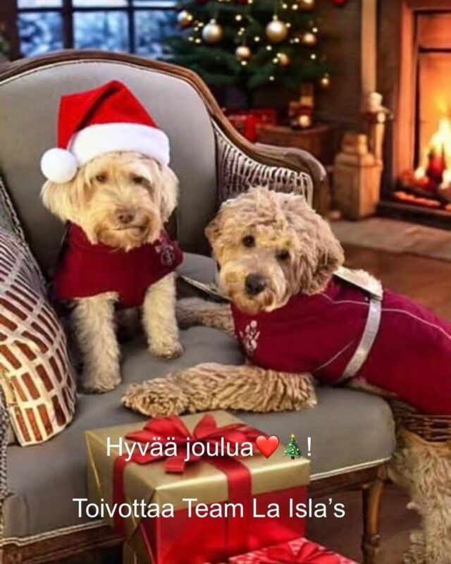 Koska se pukki🎅tuleekaan? Täällä odotellaan jo🐾