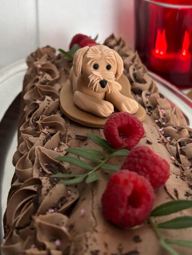 Pennut pääsivät tänään tutustumaan tuleviin perheisiinsä ensimmäistä kertaa livenä💕Supersuloista tarjottavaa taikoi @kakkumaavivalacake @laislasaustralianlabradoodles @walalabradoodles